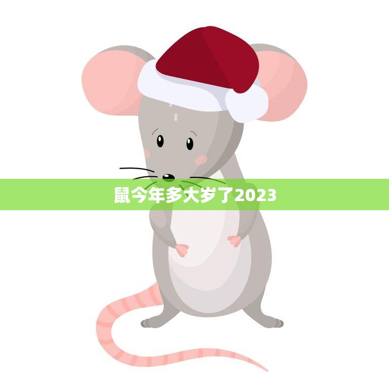 鼠今年多大岁了2023(揭秘鼠年生肖年龄计算法)