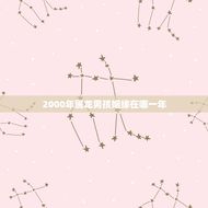 2000年属龙男孩姻缘在哪一年（细数十二生肖最佳结婚之年）