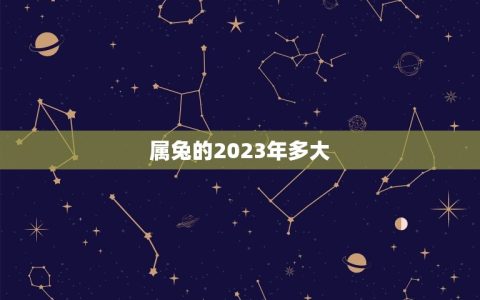 属兔的2023年多大(兔年出生人的年龄对应表)