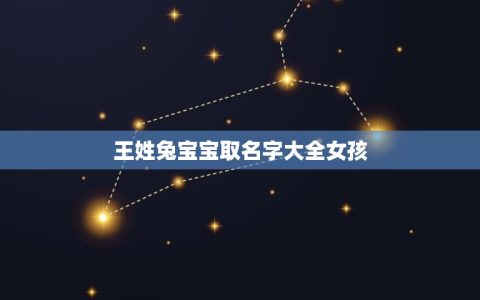 王姓兔宝宝取名字大全女孩(优美的女孩兔宝宝名字)