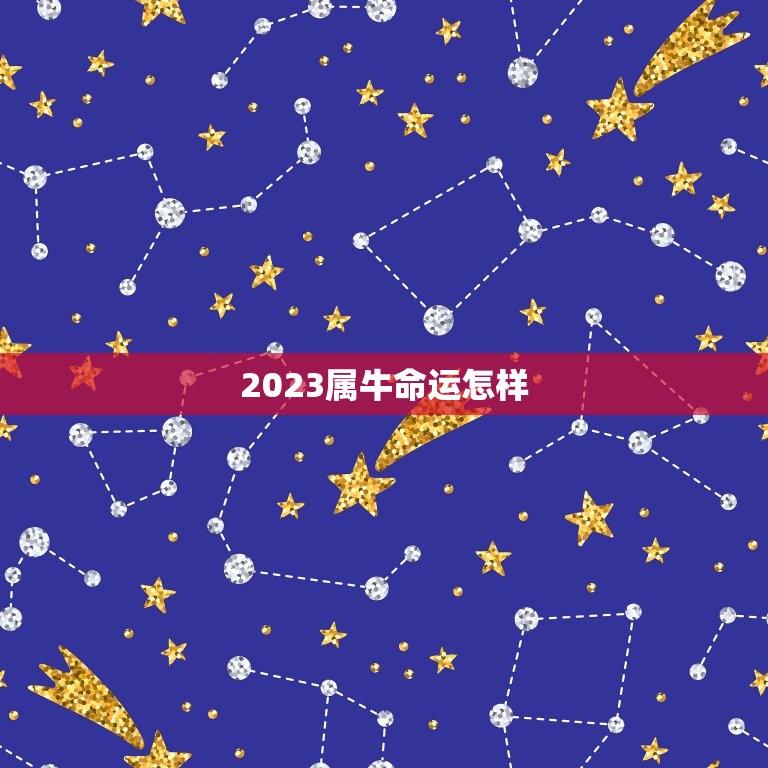 2023属牛命运怎样(十二生肖属牛2023年运势预测)
