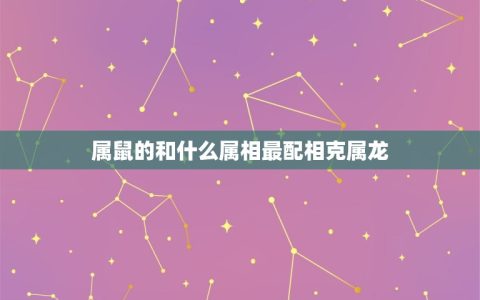属鼠的和什么属相最配相克属龙(十二生肖配对之属鼠和属龙)