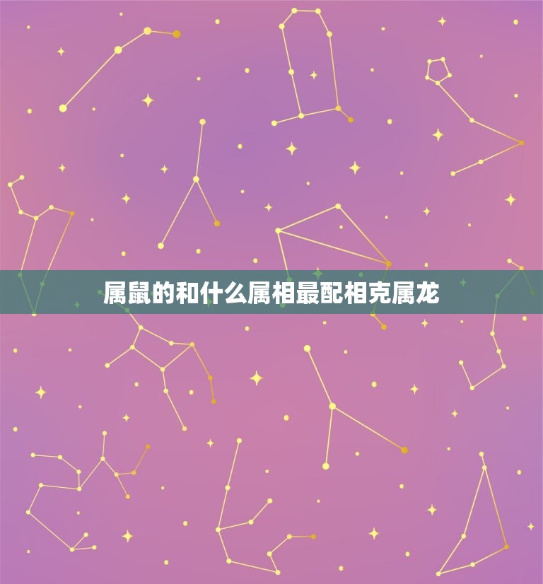 属鼠的和什么属相最配相克属龙(十二生肖配对之属鼠和属龙)