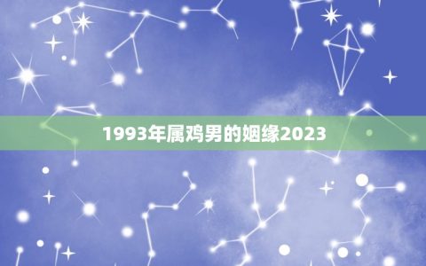 1993年属鸡男的姻缘2023(属鸡男2023年恋爱运势)