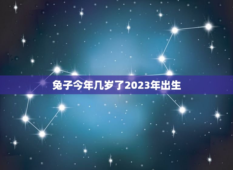 兔子今年几岁了2023年出生(兔子年龄计算方法简介)