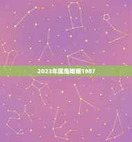 2023年属兔婚姻1987(属兔人2023年婚姻运势分析)