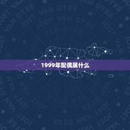 1999年配偶属什么(根据星座分析配偶)