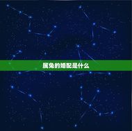 属兔的婚配是什么(介绍属兔人的婚姻运势)