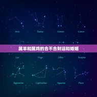 属羊和属鸡的合不合财运和婚姻(讨论属相配对的好坏)