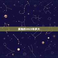 属兔的2023年多大(兔年出生人的年龄对应表)