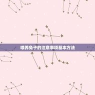 喂养兔子的注意事项基本方法(养兔初学者必知)