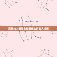 属蛇的人最适合和哪些生肖的人结婚(12生肖婚姻配对)