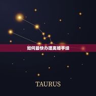 如何最快离婚手续(快速离婚的方法和流程)