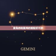 属兔的和属鸡的婚配好不好(十二生肖婚配介绍)