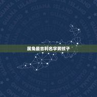 属兔最吉利名字男孩子(取名大全)