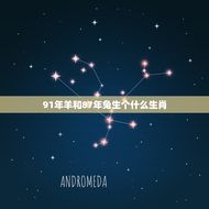 91年羊和87年兔生个什么生肖(根据生肖年份推算)