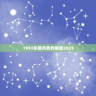 1993年属鸡男的姻缘2023(属鸡男2023年恋爱运势)