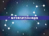 兔子今年几岁了2023年出生(兔子年龄计算方法简介)