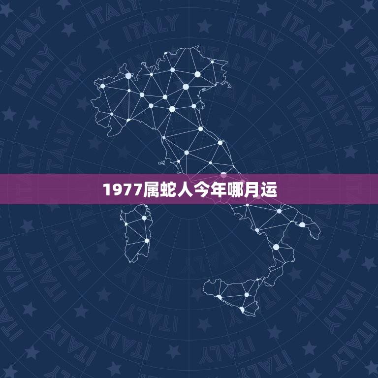 1977属蛇人今年哪月运(星象指引财运亨通)