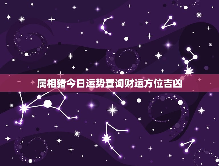 属相猪今日运势查询财运方位吉凶(如何把握财运方位)