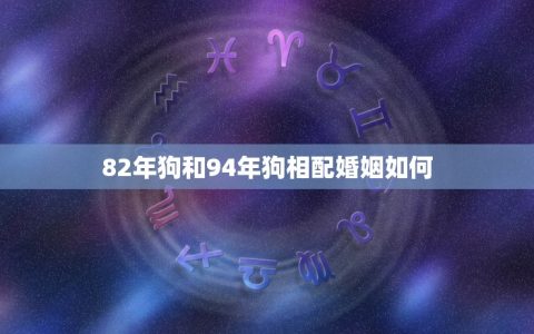 82年狗和94年狗相配婚姻如何(年龄差距不是问题相爱最重要)