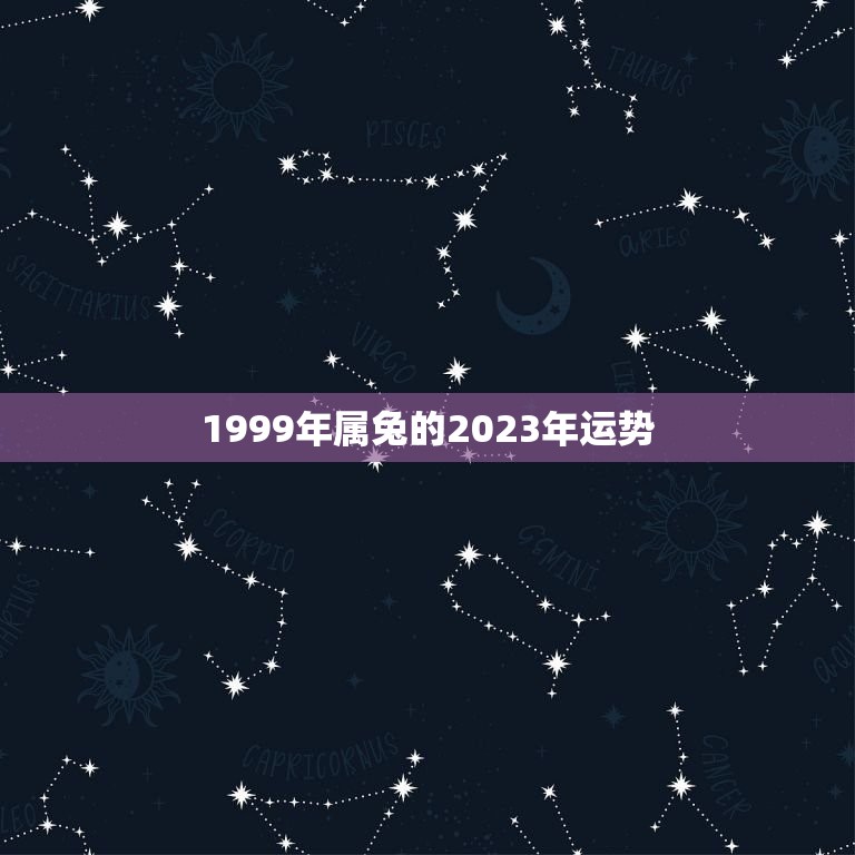 1999年属兔的2023年运势(兔子迎来好运)