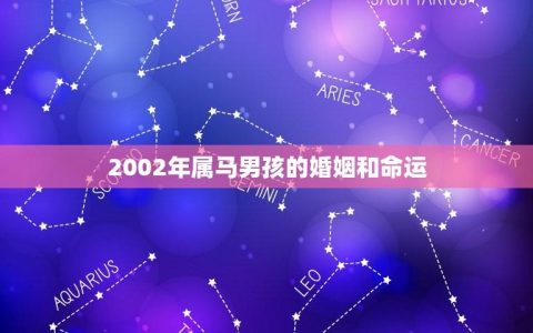 2002年属马男孩的婚姻和命运(如何预测)