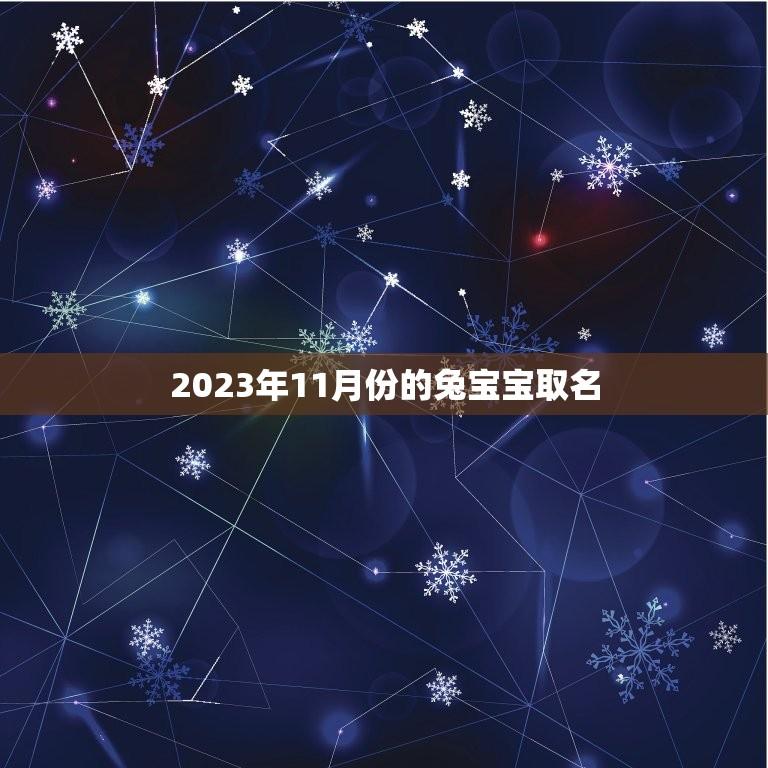 2023年11月份的兔宝宝取名(如何给你的小兔子取一个独特的名字)