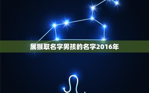 属猴取名字男孩的名字2016年(如何选择的名字)