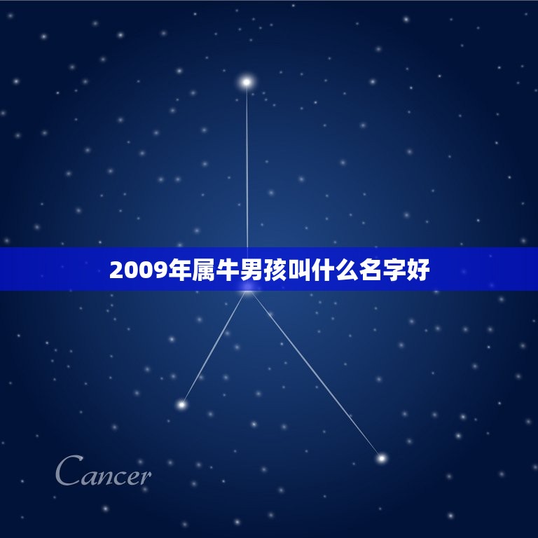 2009年属牛男孩叫什么名字好(如何选择适合的名字)