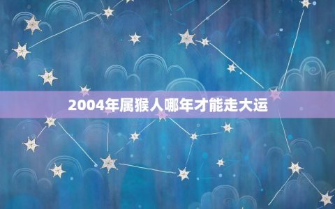 2004年属猴人哪年才能走大运(探寻属猴人的运势转机)