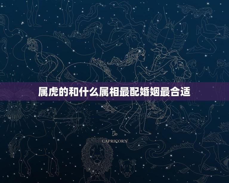 属虎的和什么属相最配婚姻最合适(如何选择配偶)