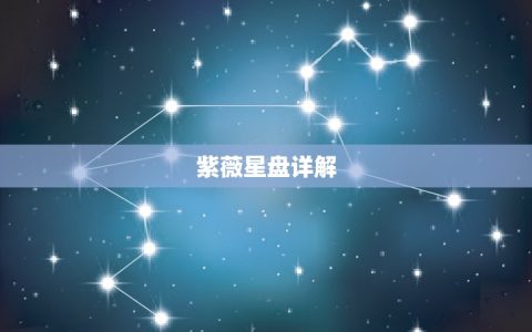 紫薇星盘详解(免费流年吉凶表掌握未来走势)