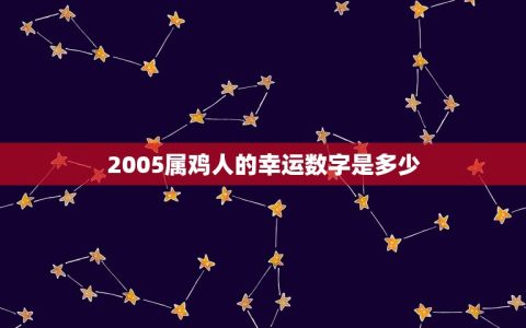 2005属鸡人的幸运数字是多少(介绍属鸡人的幸运数字)