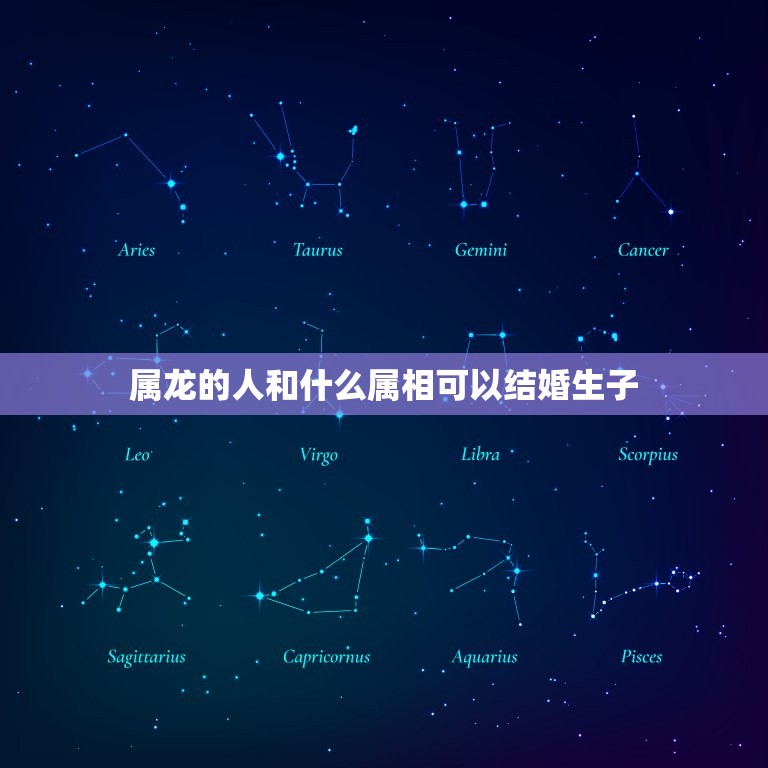 属龙的人和什么属相可以结婚生子(配对指南)