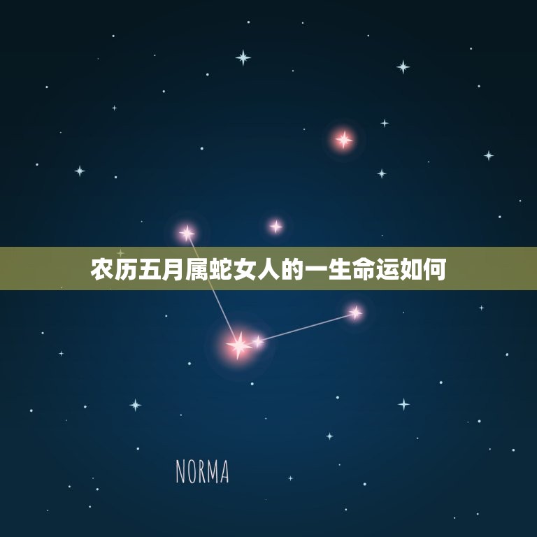 农历五月属蛇女人的一生命运如何(介绍运势如何)
