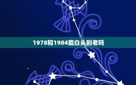 1978和1984能白头到老吗(爱情的时间不分年份)