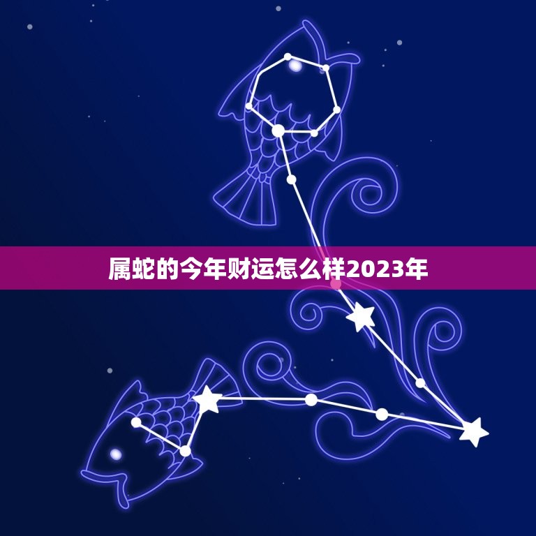 属蛇的今年财运怎么样2023年(财富大丰收)