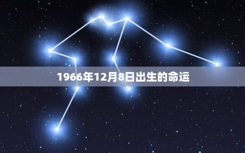 1966年12月8日出生的命运(探寻命运多舛还是命运多福)
