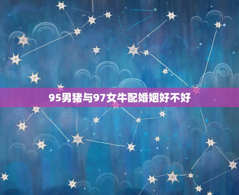 95男猪与97女牛配婚姻好不好(星座配对分析)