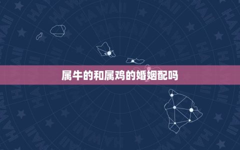 属牛的和属鸡的婚姻配吗(介绍属牛和属鸡的星座配对)