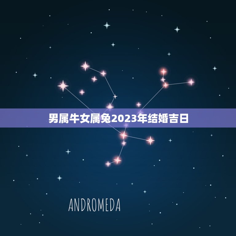 男属牛女属兔2023年结婚吉日(如何选择结婚日期)