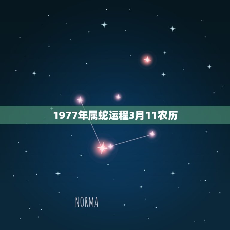 1977年属蛇运程3月11农历(蛇年好运连连财富旺盛事业有成)