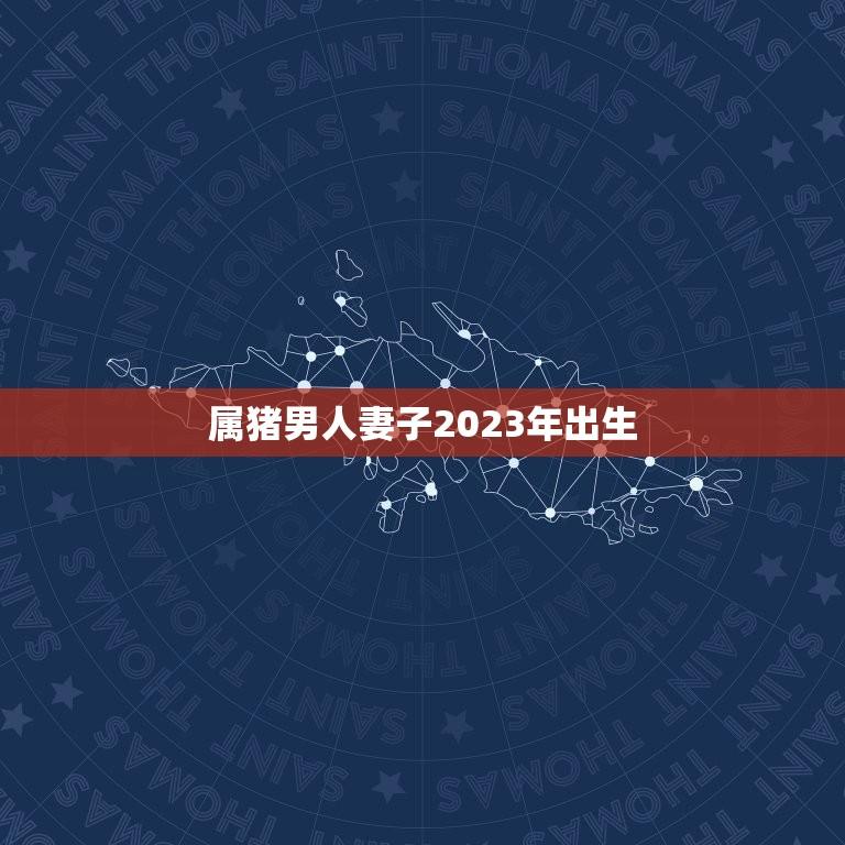 属猪男子2023年出生(匹配星座、性格、命运)