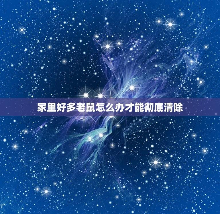 家里好多老鼠怎么办才能彻底清除(鼠患严重快速有效的灭鼠方法)