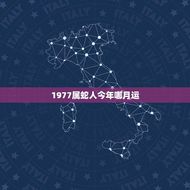 1977属蛇人今年哪月运(星象指引财运亨通)