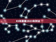 83年属猪2023年财运(猪年大吉财源广进)