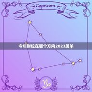 今年财位在哪个方向2023属羊(如何招财进宝)