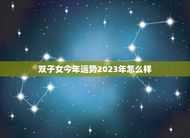 双子女今年运势2023年怎么样(星象大变财运亨通)