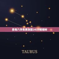 易奇八字免费测算2023婚姻树(介绍你的婚姻命运)